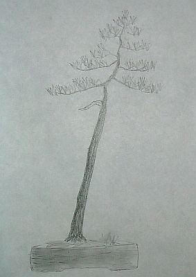 o coÂś takiego mi chodziÂło ;)