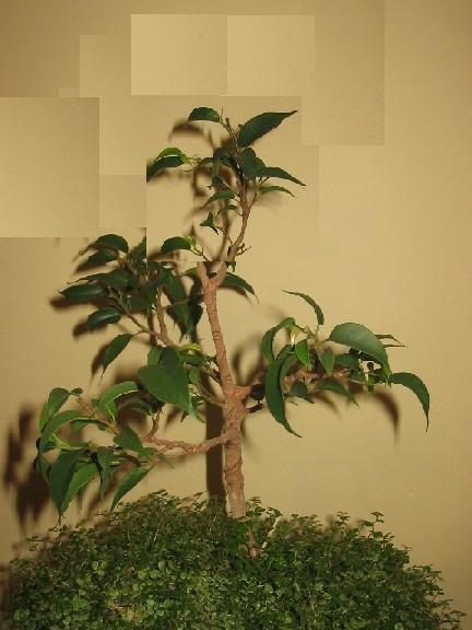 lewa_strona_268 tak.jpg