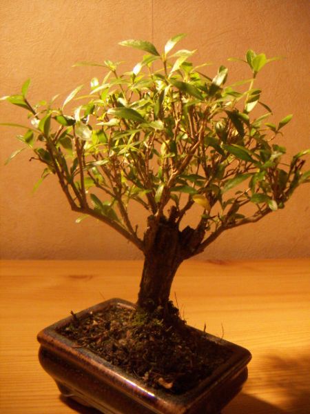 i z troszke innej strony