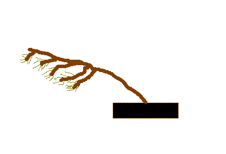 Nie no serio tylko sie nie nabijajecie :D