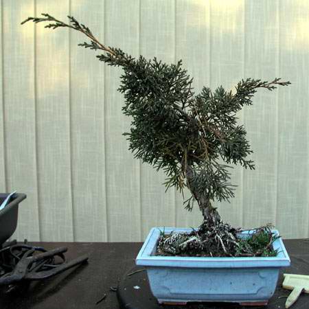 Dla uÂłatwienia sprawy tak wyglÂądaÂł przed formowaniem.