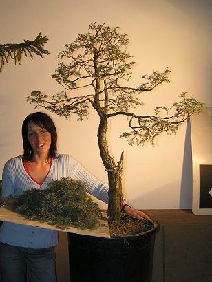 Roslina oczywiscie jest tylko zadrutowana nie ulozona (nie wyrobilem sie :D) Karina trzyma tacke na ktorej jest zielen zcieta z rosliny w trakcie czyszczenia.