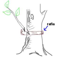 mam nadziejĂŞ Âże obrazowo :)