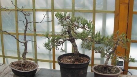 mar_25_26 balkonowe.jpg