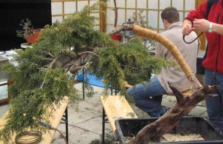 mar_25_26 jaÂłowiec-2.jpg