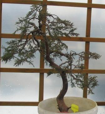 mar_25_26 jaÂłowiec dokt.jpg