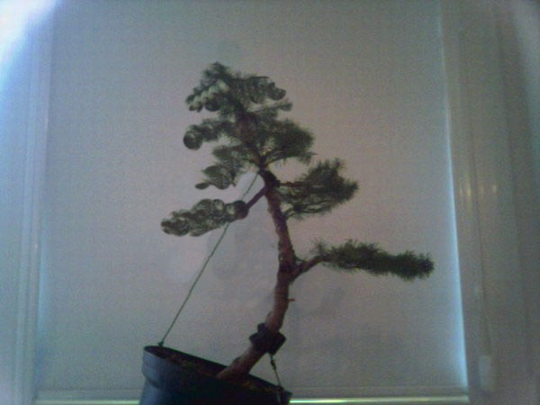 ZwrĂłĂŚ uwagĂŞ na gÂłĂłwnÂą gaÂłÂąÂź -teraz jest jedna :)