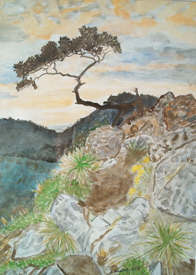 Akwarela Nad urwiskiem