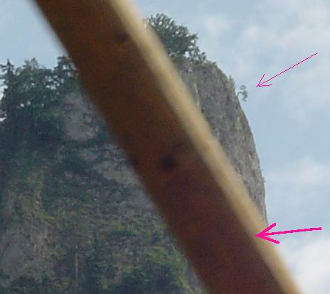 ZdjĂŞcie zrobione podczas spÂływu Dunajcem. Cienka strzaÂłka wskazuje sosnĂŞ, a gruba kij flisaka :)