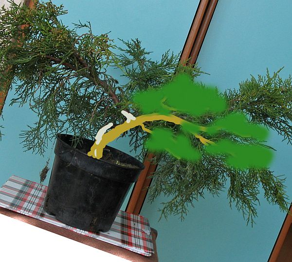 jeden z pierwszych pomysÂłĂłw .