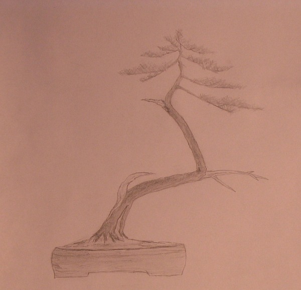 "Literat , mocno powyginany +wiatr jednej strony "