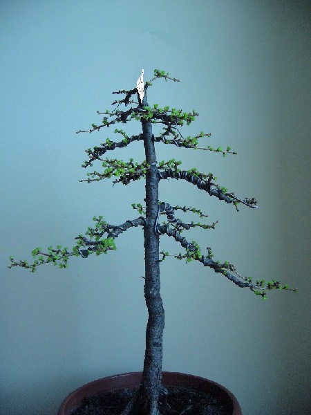 Prawdopodobna najbliÂższa zmiana;)