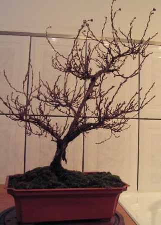 kwie_11 012_OK_przed_c.jpg