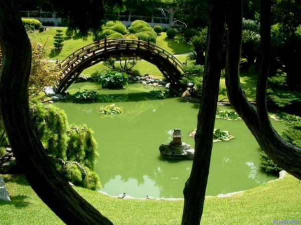 ogrĂłd japoĂąski.jpg