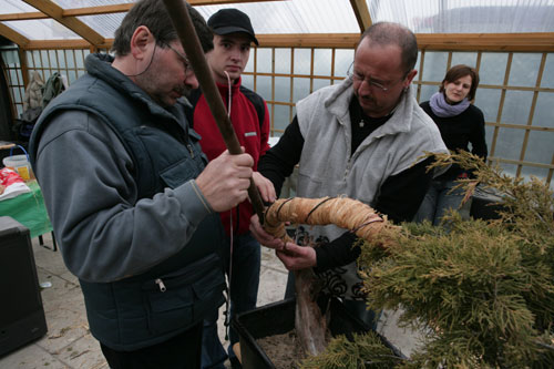 Galaz jest gotowa.Teraz bedzie uzyte narzedzie sprowadzone specjalnie z pobliskiej skladnicy zlomu :-)