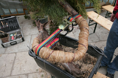 Tak to teraz wyglada po wstepnym gieciu.Czysta robota.Lukasz sie spisal na6-ke,jezeli zajdzie taka potrzeba to w przyszlym roku mozna troche poprawic.