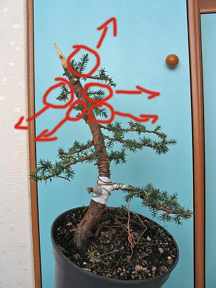 Z tych pĂŞdĂłw zamierzam "odtwoÂżyĂŚ" brakujÂące piĂŞtra.