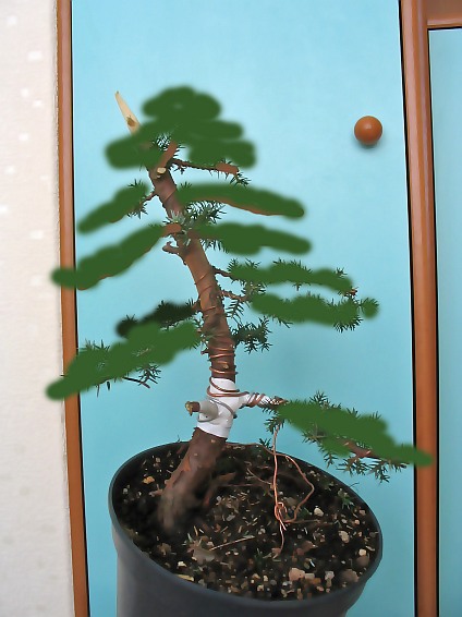 No i wÂłasnie forma ... jak siĂŞ wam widzi ?