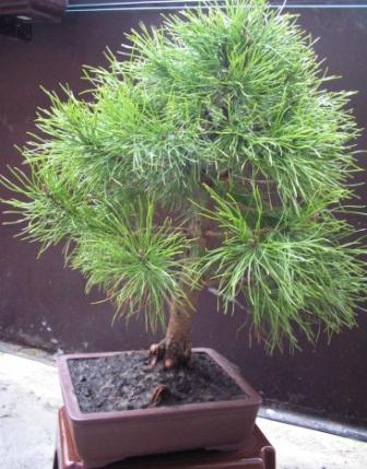 22_kwi_06 018_03.jpg