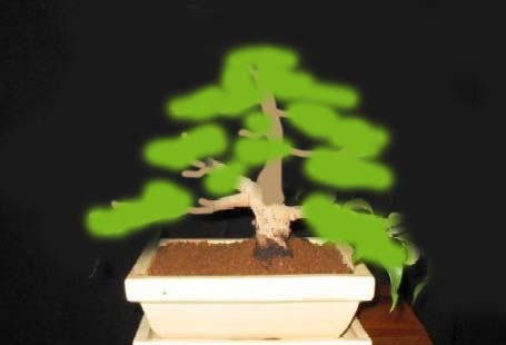 z czasem taka forma.