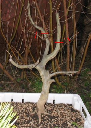 Czerone kreski- miejsca ciec