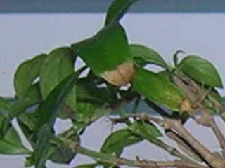 PamiÂątka po bÂłĂŞdzie,ktĂłrego juz nigdy nie powrĂłrze...