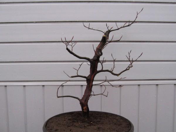 Po wstĂŞpnym formowaniu.