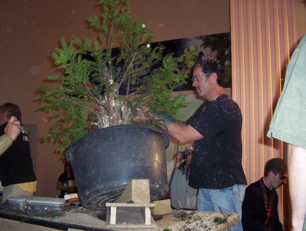 Marc Noelanders przy pracy nad cisem