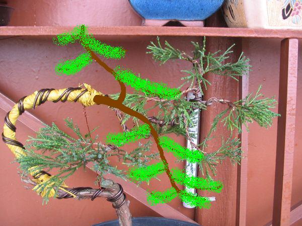 virt img_0002_181.JPG