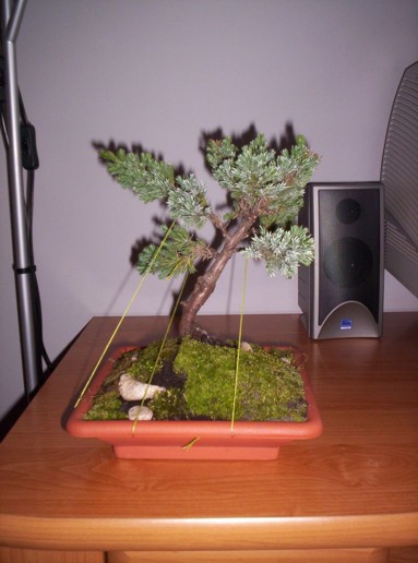 zdjec tez nie umiem robic ;p