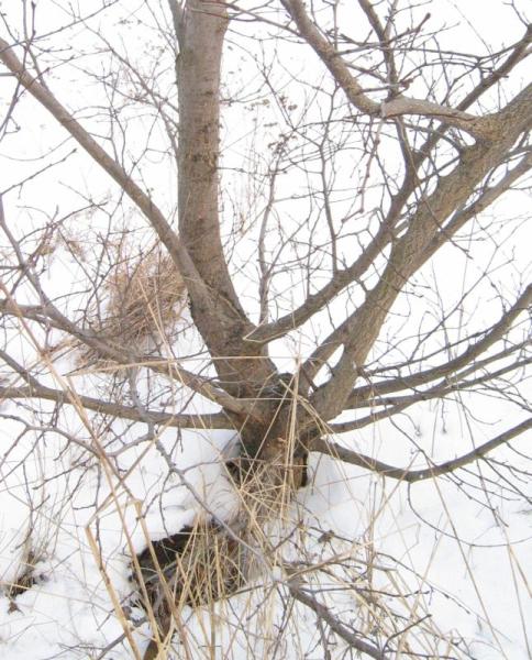 Jeszcze nie tkniĂŞty.