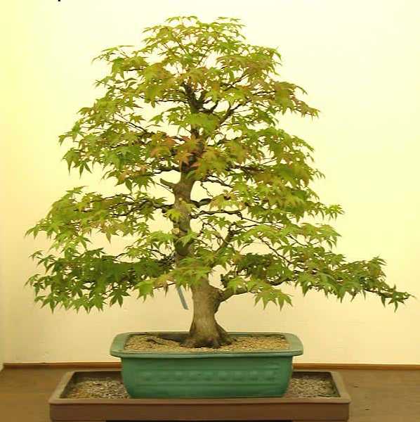 Mysl do ktorej chce dÂąÂżyĂŚ