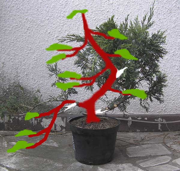 Projekt ksztaltowania