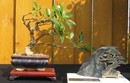 mai_06-14_07_wystawa_nagrodzone _drzewka_o2.jpg