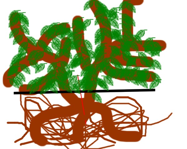 miejsce rozÂłÂączenia