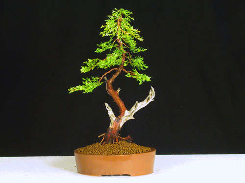 Po pierwszym formowaniu