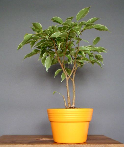 2 lata temu z maÂłym hakiem