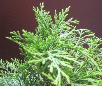 3-20.05.26 017_OK.jpg