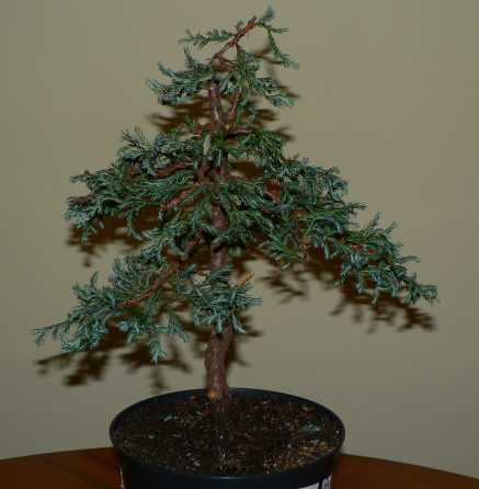 oto wynik formowania