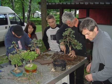 WÂłodek i Rolqa przesadzajÂą drzewka Fatera i Korzenia.