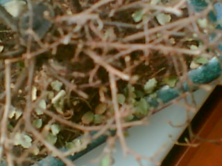 wiem ze zdjecia sa kiepskiej jakosci