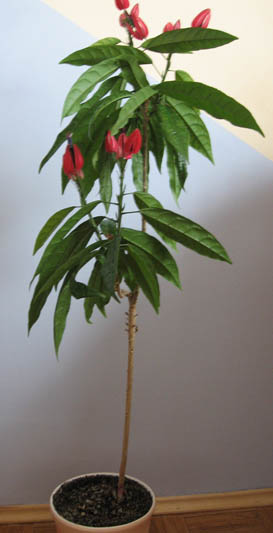 tak wyglÂąda ta moja