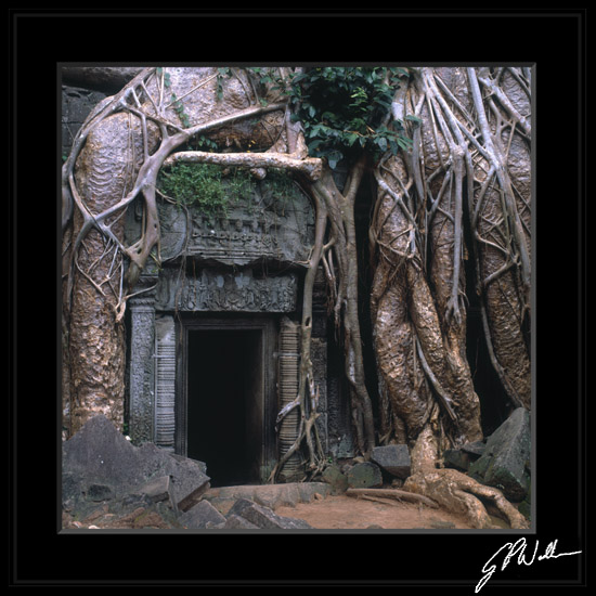 zaÂłÂączam mojÂą najwiĂŞkszÂą inspiracjĂŞ. Jak dla mnie wszystkie drzewa mogÂłyby tak wyglÂądaĂŚ ;)