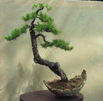 09_06_ÂŁĂłdÂź 032a.jpg