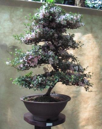 09_06_ÂŁĂłdÂź 018a.jpg