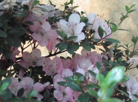 09_06_ÂŁĂłdÂź 019a.jpg