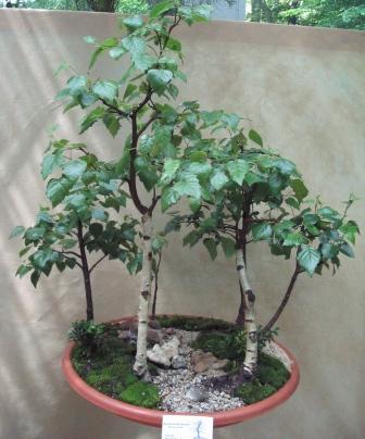 09_06_ÂŁĂłdÂź 022a.jpg