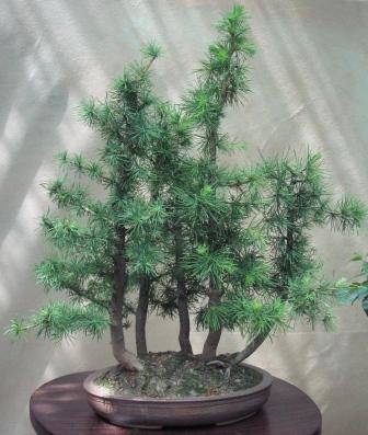 09_06_ÂŁĂłdÂź 024a.jpg