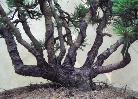 09_06_ÂŁĂłdÂź 014a.jpg