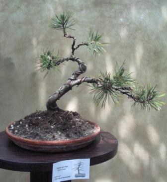 09_06_ÂŁĂłdÂź 016a.jpg